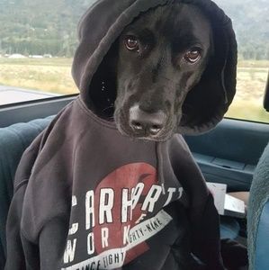 Meet your Posher, Jonny